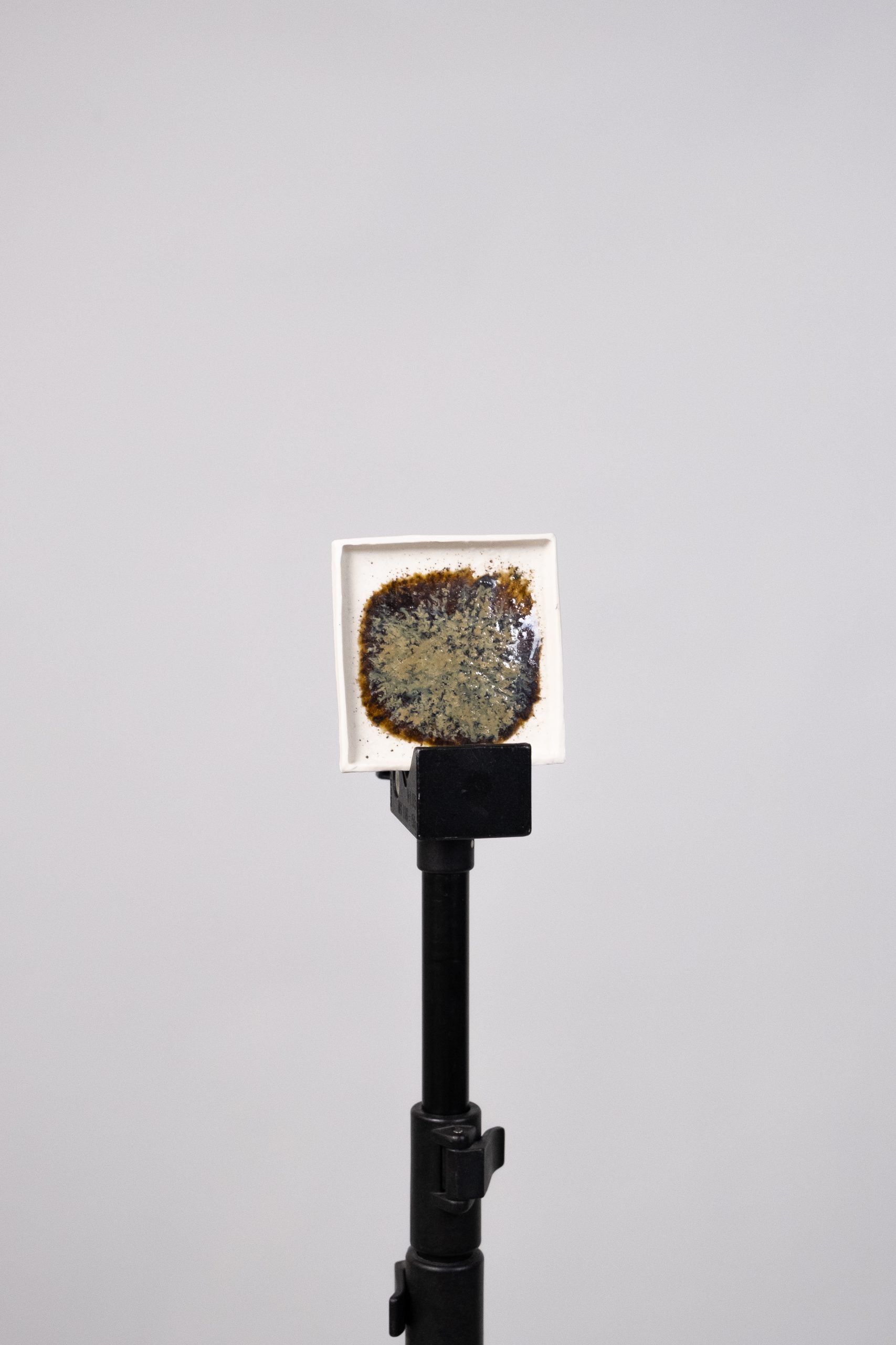 envisions-brain-of-materials-harvest-by-sanne-kaal-16 Envisions brain of materials harvest by sanne kaal 16